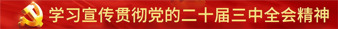 學(xué)習(xí)宣傳貫徹黨的二十屆三中全會精神